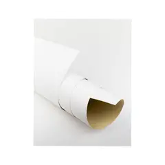 ALINSA - CARTULINA BLANCA 185 GRS. 55X77 CMS.