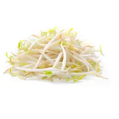 VERDURAS - Diente de Dragón Envasado 250 g