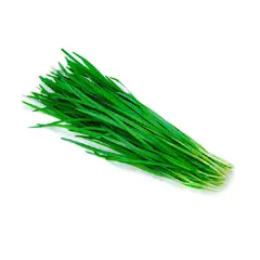 VERDURAS - Ciboulette Oriental