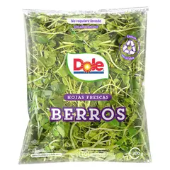 VERDURAS - Berros Envasado 200 g