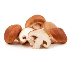 VERDURAS - Champiñón Shiitake Funghi Envasado 100 g