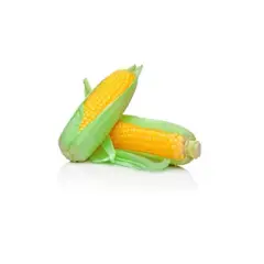 VERDURAS - Choclo Americano Envasado