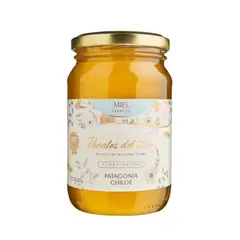 PANALES DEL SUR - Miel de Abeja Patagonia Chiloe Panales del Sur 500 g
