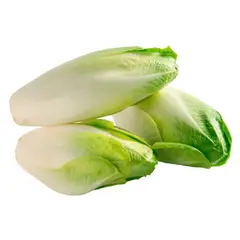 VERDURAS - Endibia Envasada 500 g