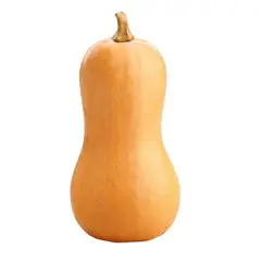 VERDURAS - Zapallo Butternut