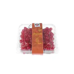 HORTIFRUT - Zarzaparrilla en Pote 125 g