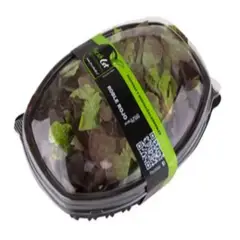 VERDURAS - Hojas Roble Rojo Envasada 150 g