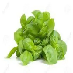 VERDURAS - Albahaca Fresca Envasada 150 g