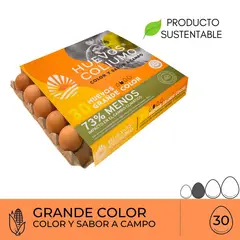 COLIUMO - Huevos Color Grande Coliumo 30 Un