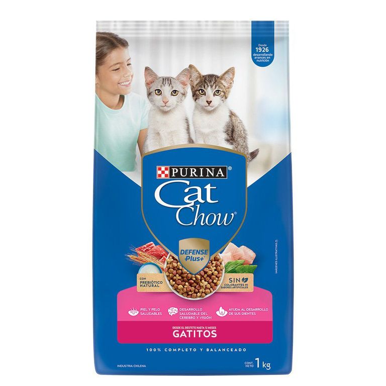 Alimento para Gatitos 1 KG