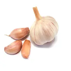 VERDURAS - Ajo Chilote Grande en Malla 3 Un