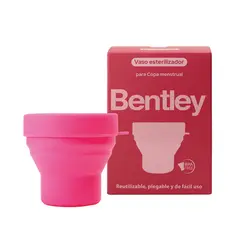 BENTLEY - VASO ESTERILIZADOR DE COPA BENTLEY 1 UND