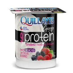 QUILLAYES - Yoghurt Griego Proteín con Trozos de Berries Quillayes 110 g