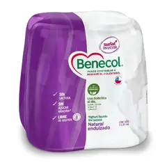 SURLAT - Yogurt Natural Surlat 4 x 80 ml