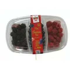 FRUTAS - Mix Arándanos, Mora y Frambuesa 210 g