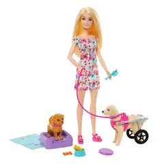 BARBIE - Barbie Paseo Perrito Con Silla De Ruedas