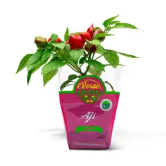 VERDE AROMA - Ají Orgánico Verde Aroma