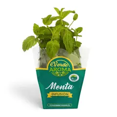 VERDE AROMA - Menta Orgánica Verde Aroma