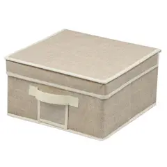 CASA JOVEN - Caja Organizadora Closet Con Tapa 30X30X16Cm