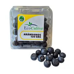 ECOCULTIVA - Arándanos Orgánicos Pote Ecocultiva 120 g