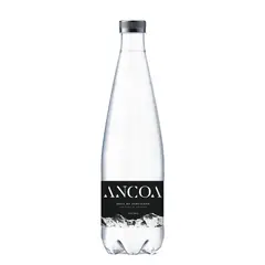 ANCOA - Agua Mineral con Gas Vertiente Ancoa 500 ml