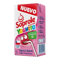 SOPROLE - Yoghurt Yoghito Sabor Frambuesa Soprole 115 g