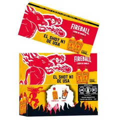 FIREBALL - Whisky Canela Fireball 33° 10 x 50 ml